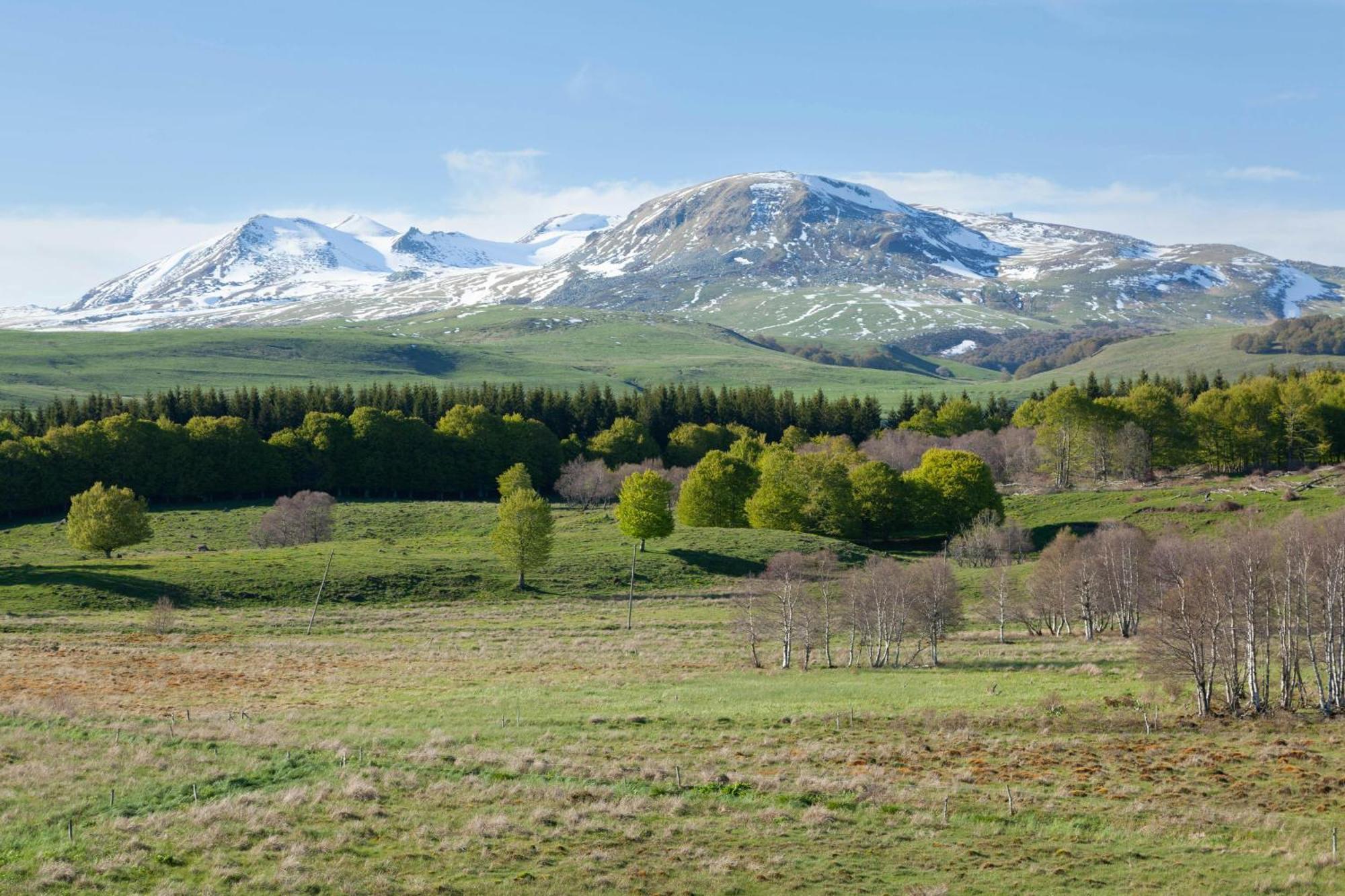 Les Mouflons Daire La Bourboule Dış mekan fotoğraf